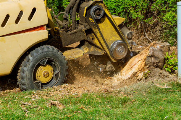 Best Tree Preservation Services  in North Charleroi, PA